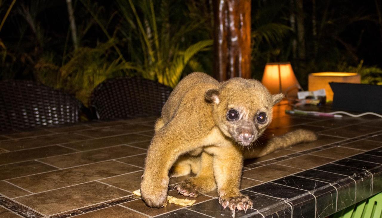 تامبور Lodge Margouillat المظهر الخارجي الصورة