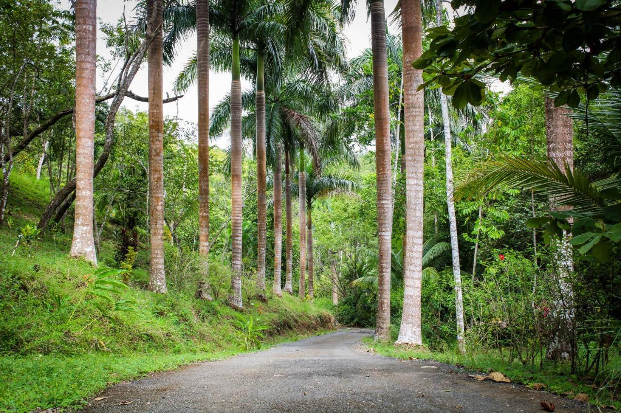 تامبور Lodge Margouillat المظهر الخارجي الصورة